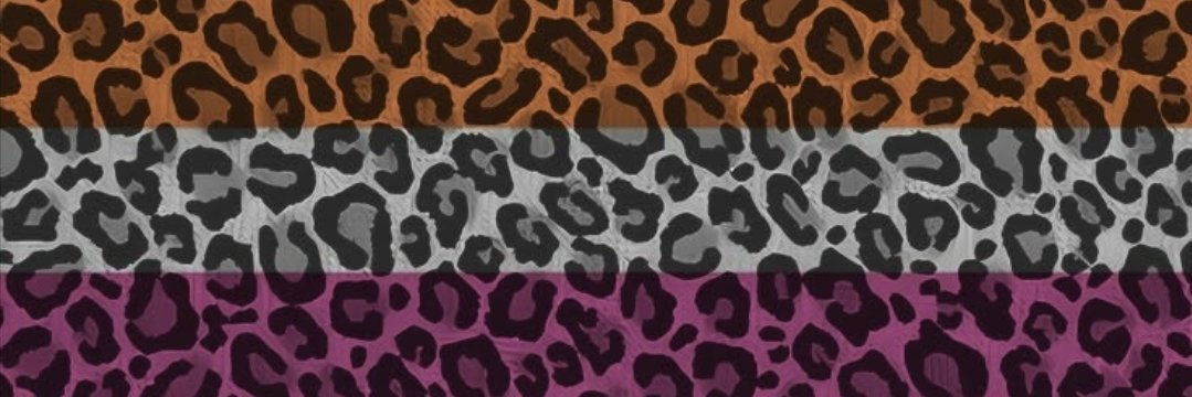 SME_554's profile banner image