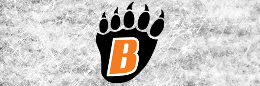 wblhockey's profile banner image