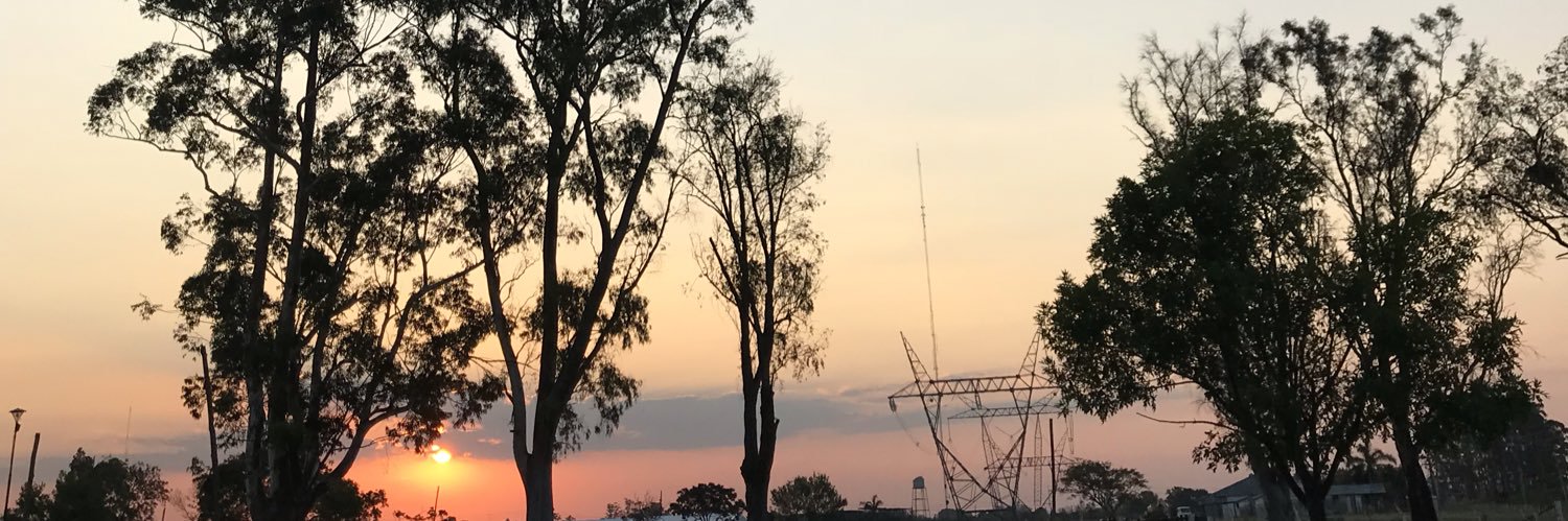 macacentis's profile banner image