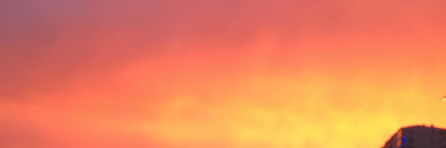 sofia_karroum's profile banner image