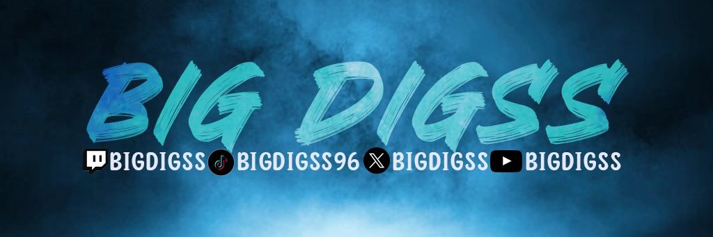 BigDigss banner