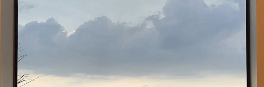 ZuddzyPoo's profile banner image