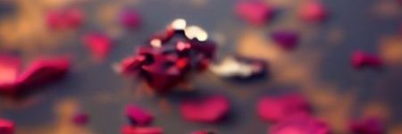 mabo_peter's profile banner image