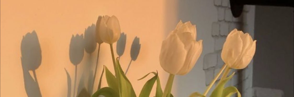 Romi banner