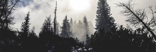 ATAlejandraa's profile banner image