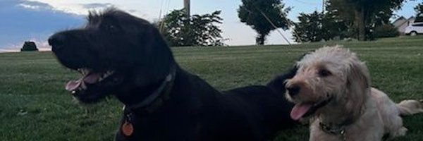 BarryNoble1 Profile Banner