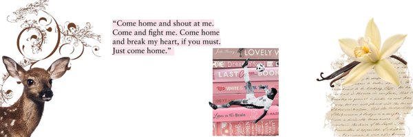 soslvt Profile Banner