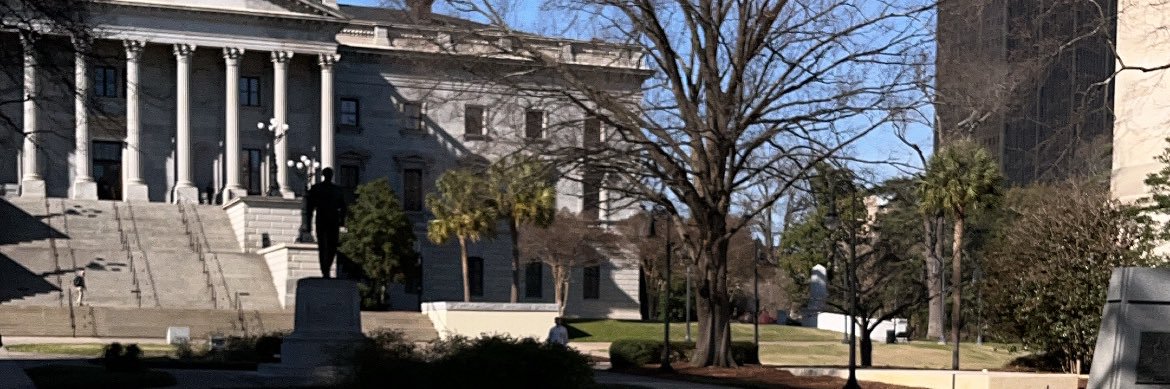 Brelen Bethea 🇺🇸 banner