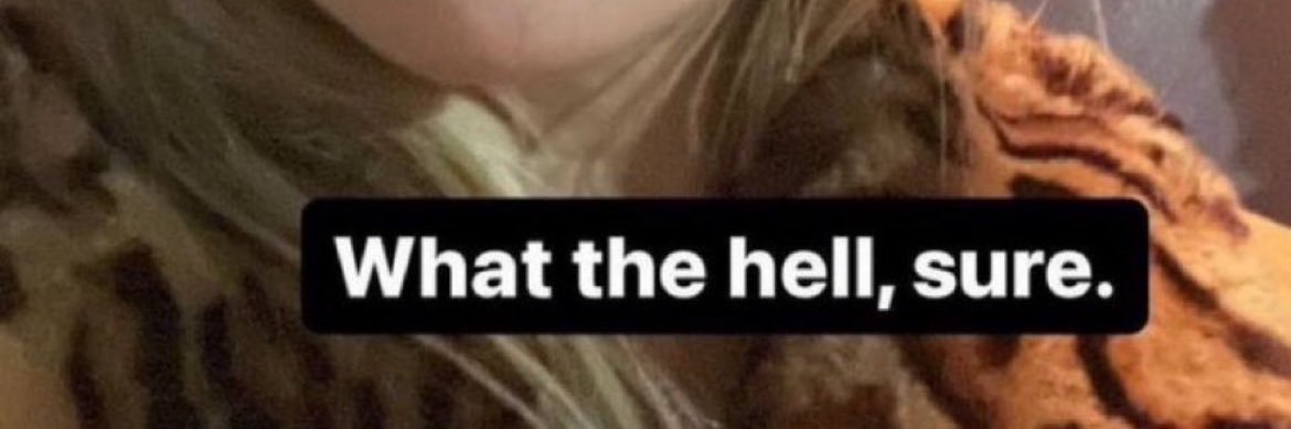 Debbie Dingell Stan🇺🇦🇬🇪⬜️🟥⬜️'s banner