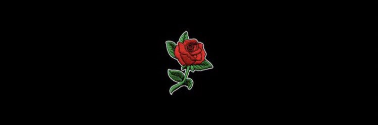 lrose24x's profile banner image