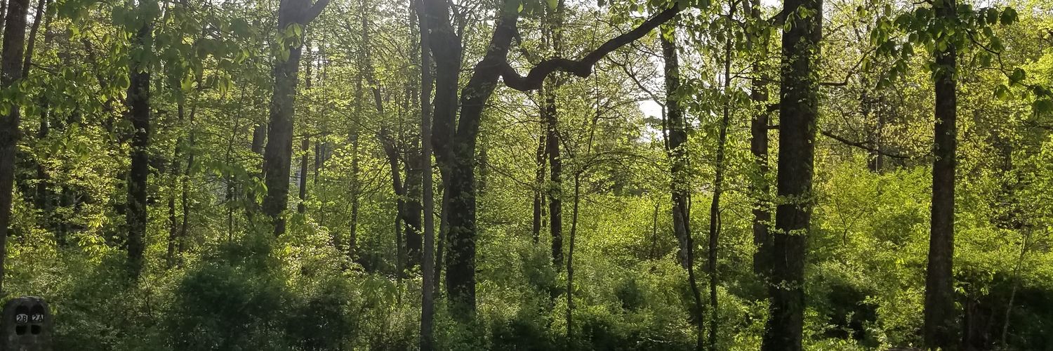 mrsljms's profile banner image