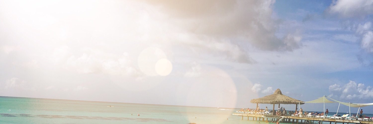 roozyp's profile banner image