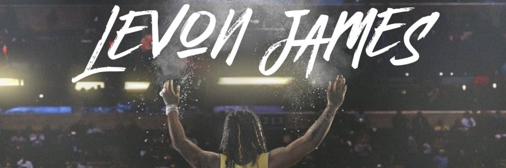 Levon Plebon | NFT Promoter banner