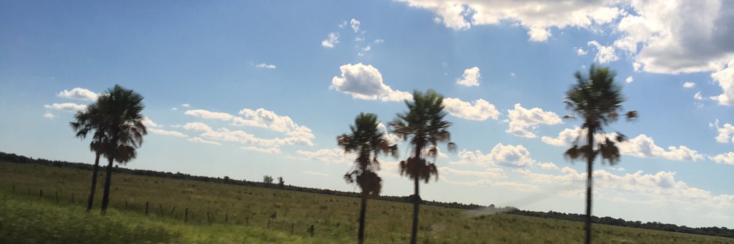 Pereiraunika's profile banner image
