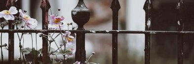 脸红Dearie banner