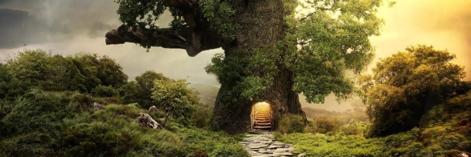 WanderinWizzard's profile banner image