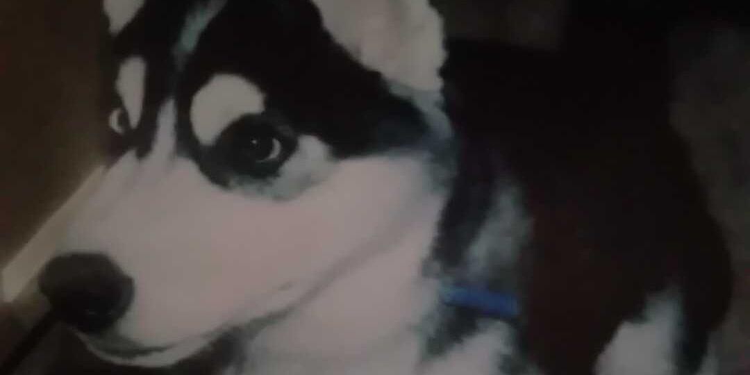 X_Raided187's profile banner image