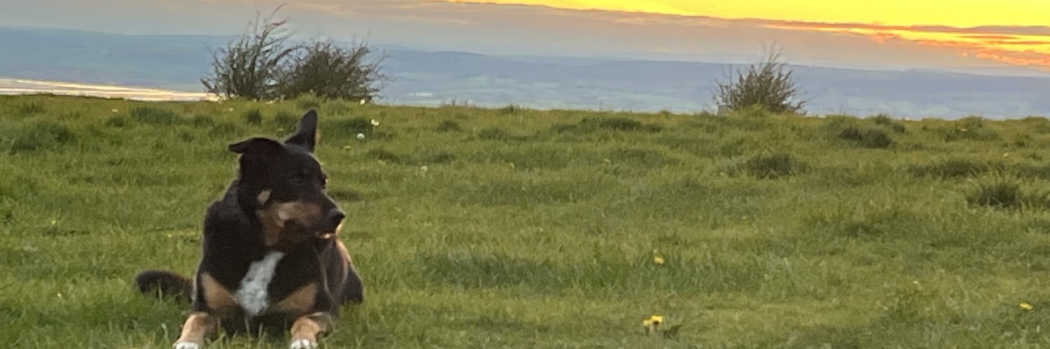 royneve's profile banner image