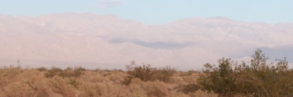 allliigator's profile banner image