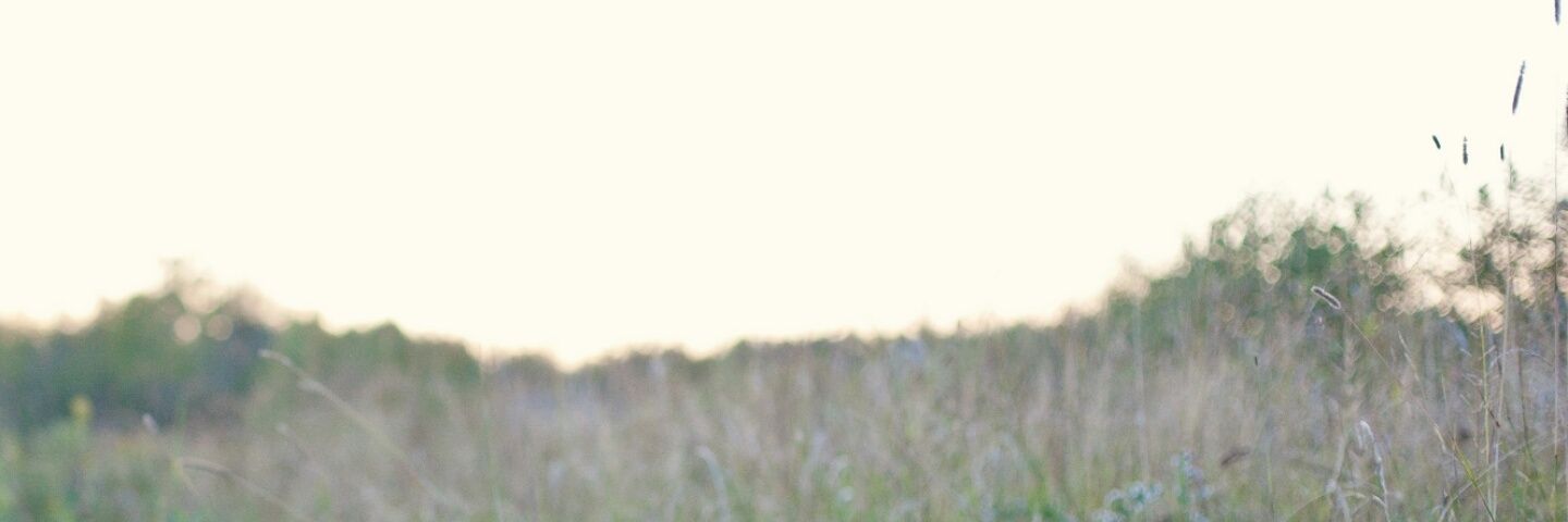 Kait banner