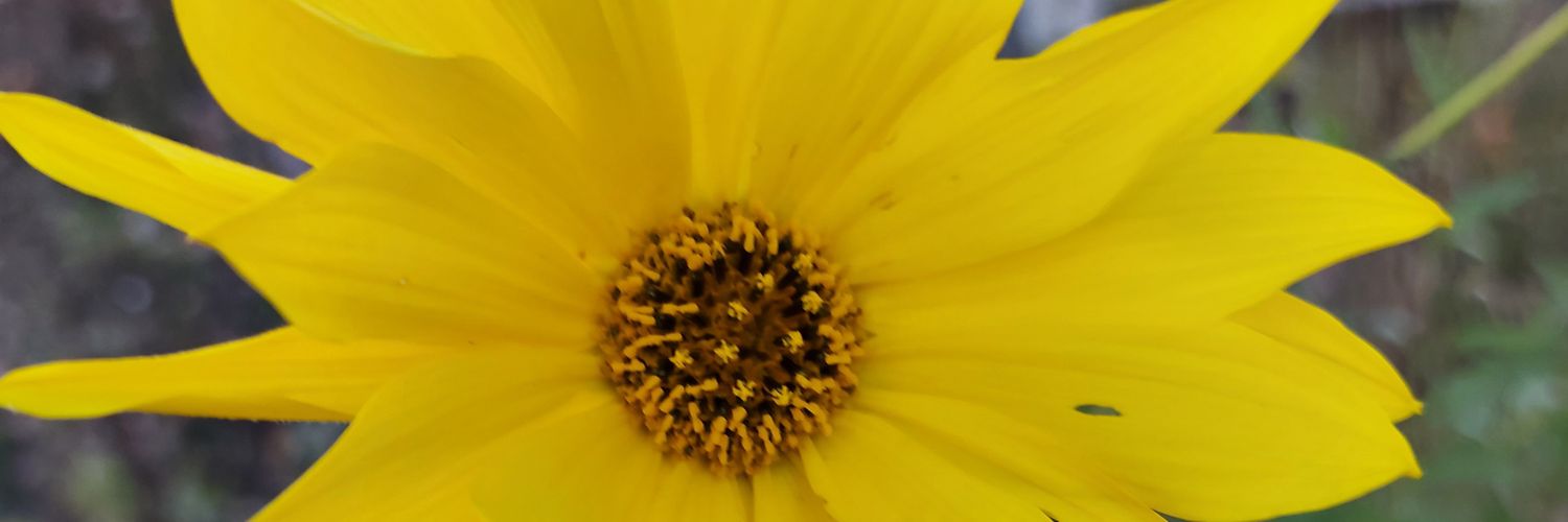 tlktom's profile banner image