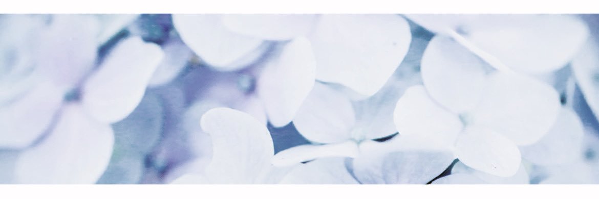 🐈‍⬛ banner