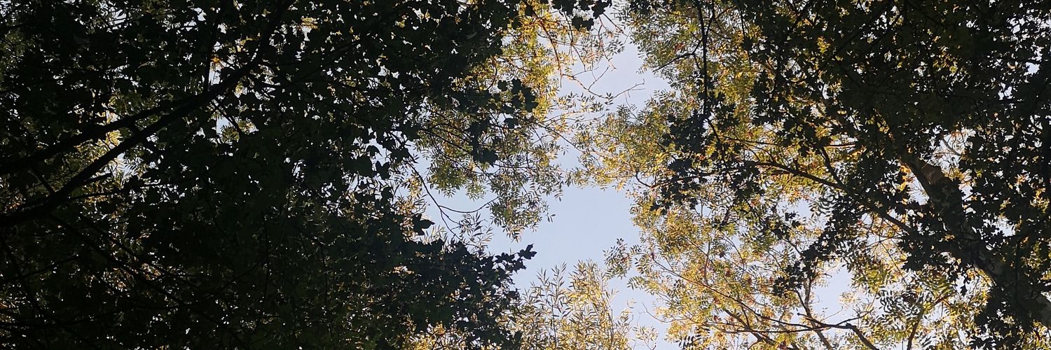 _____Barbs's profile banner image