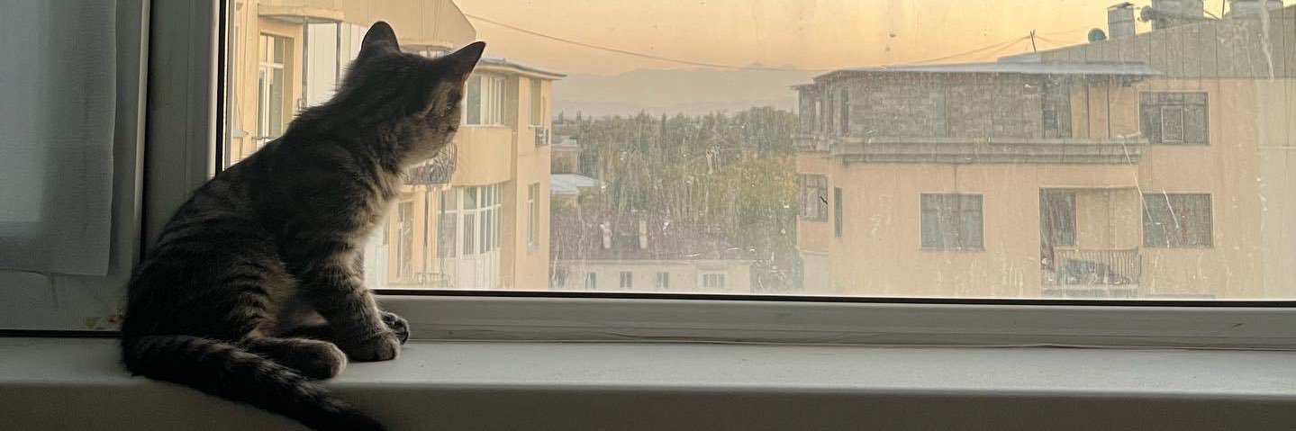 First Triple QuadSid🥇 banner