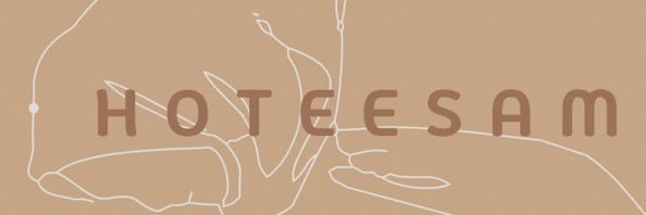 anamasit's profile banner image