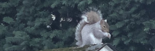 kgjose Profile Banner