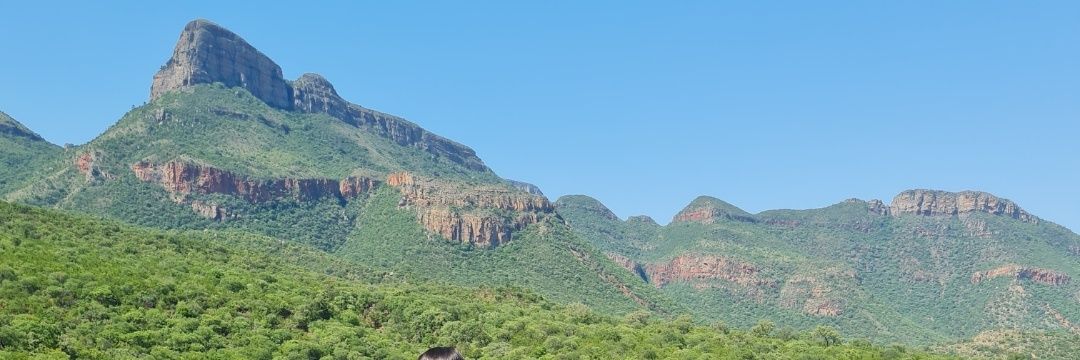 TreasureMbali's profile banner image