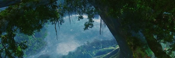 liooxn_n_2 Profile Banner