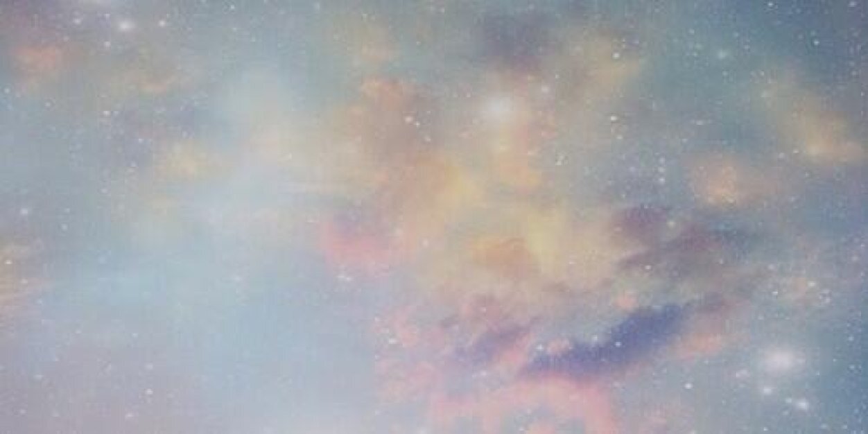 aspen  banner