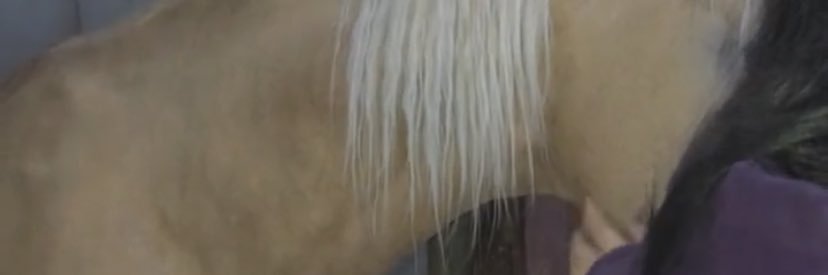 llil_ah's profile banner image