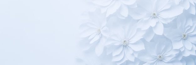 ふぁえむ✐☡ ⋆*·͜· banner
