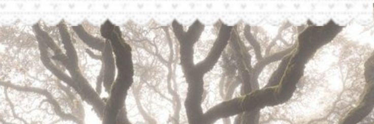 b0nezsnuff's profile banner image
