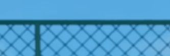 ~ ヾ (· ω ·) banner