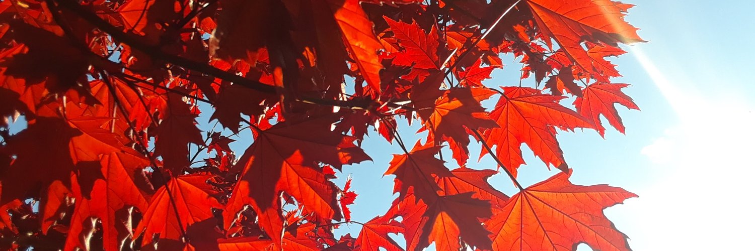 darrylklassen's profile banner image