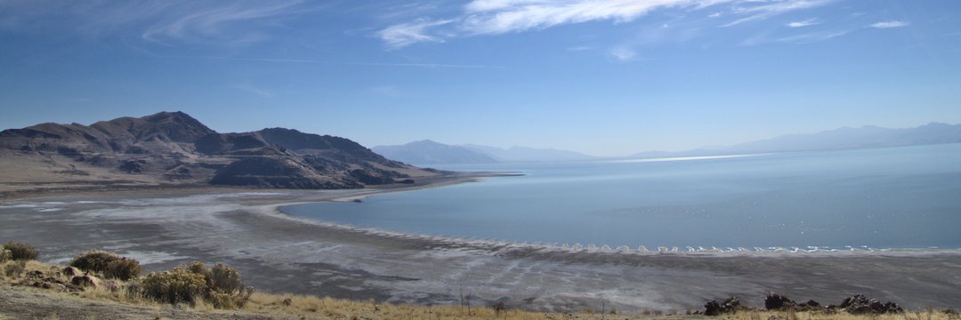 Sarah Chaney Cambon banner