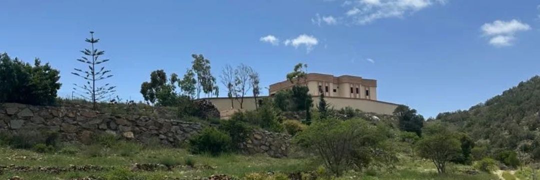 علي المازني 💛💙 banner