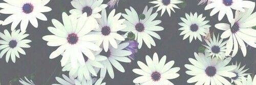 MeKrisBloo's profile banner image