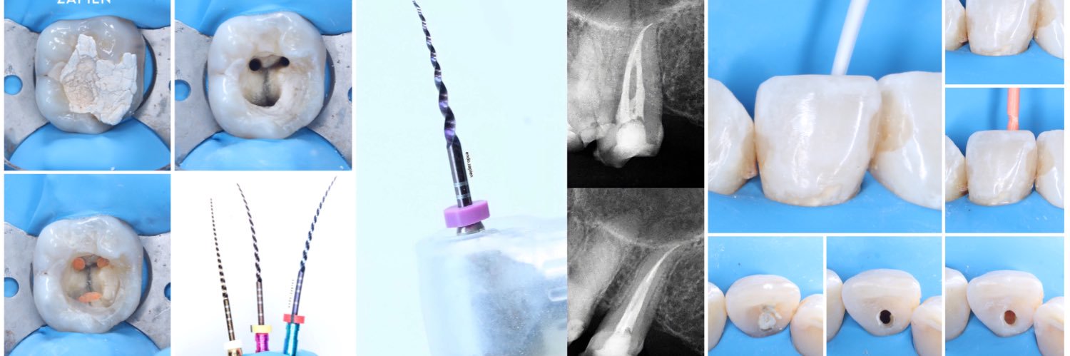 endozapien's profile banner image