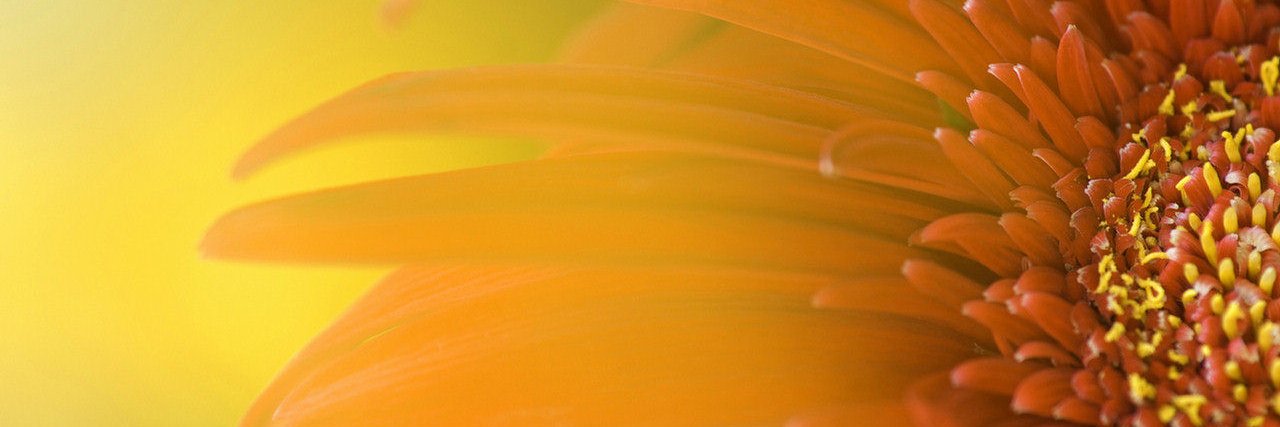 Amin 🚢 🛸 banner