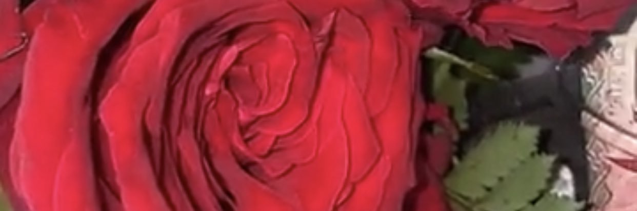 sbm -Al.anazi banner