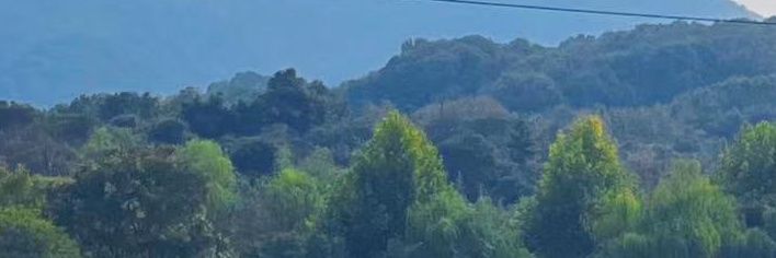 林深见鹿 banner