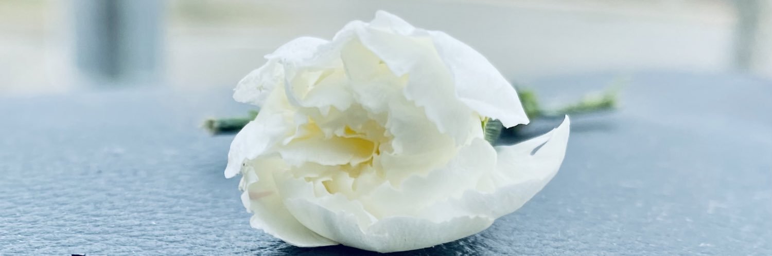 NerdyCatLady84's profile banner image