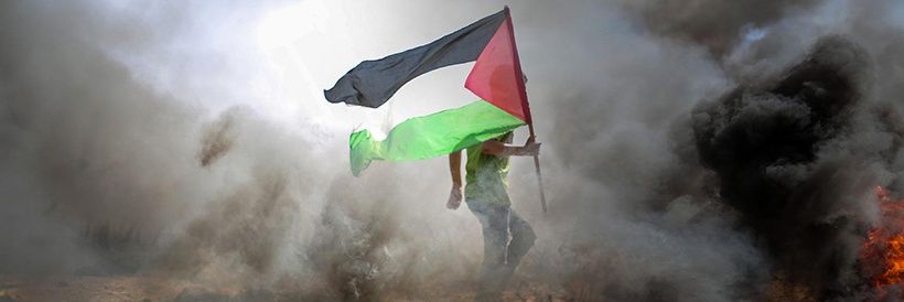Gimmoriso' 🇵🇸's banner