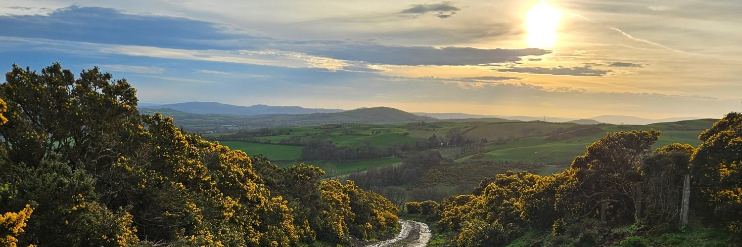 traciehealey's profile banner image