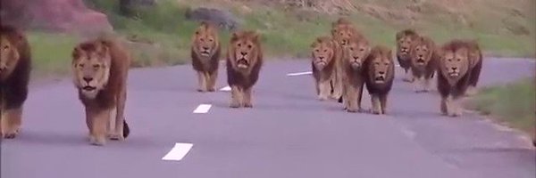 myall3000 Profile Banner