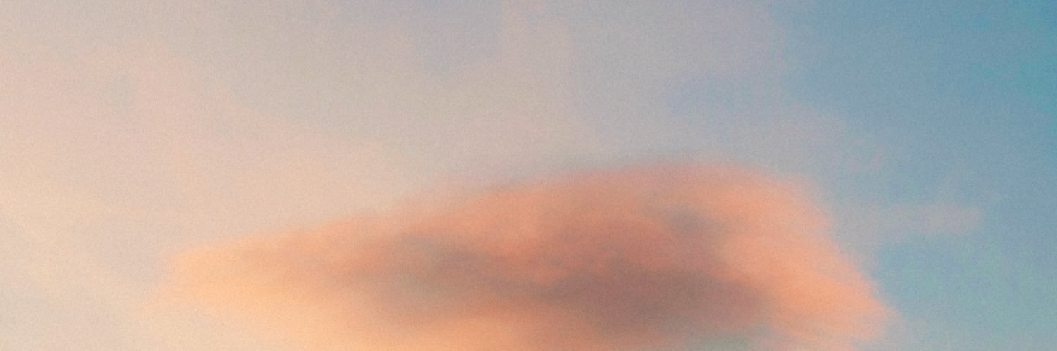 brieslover's profile banner image